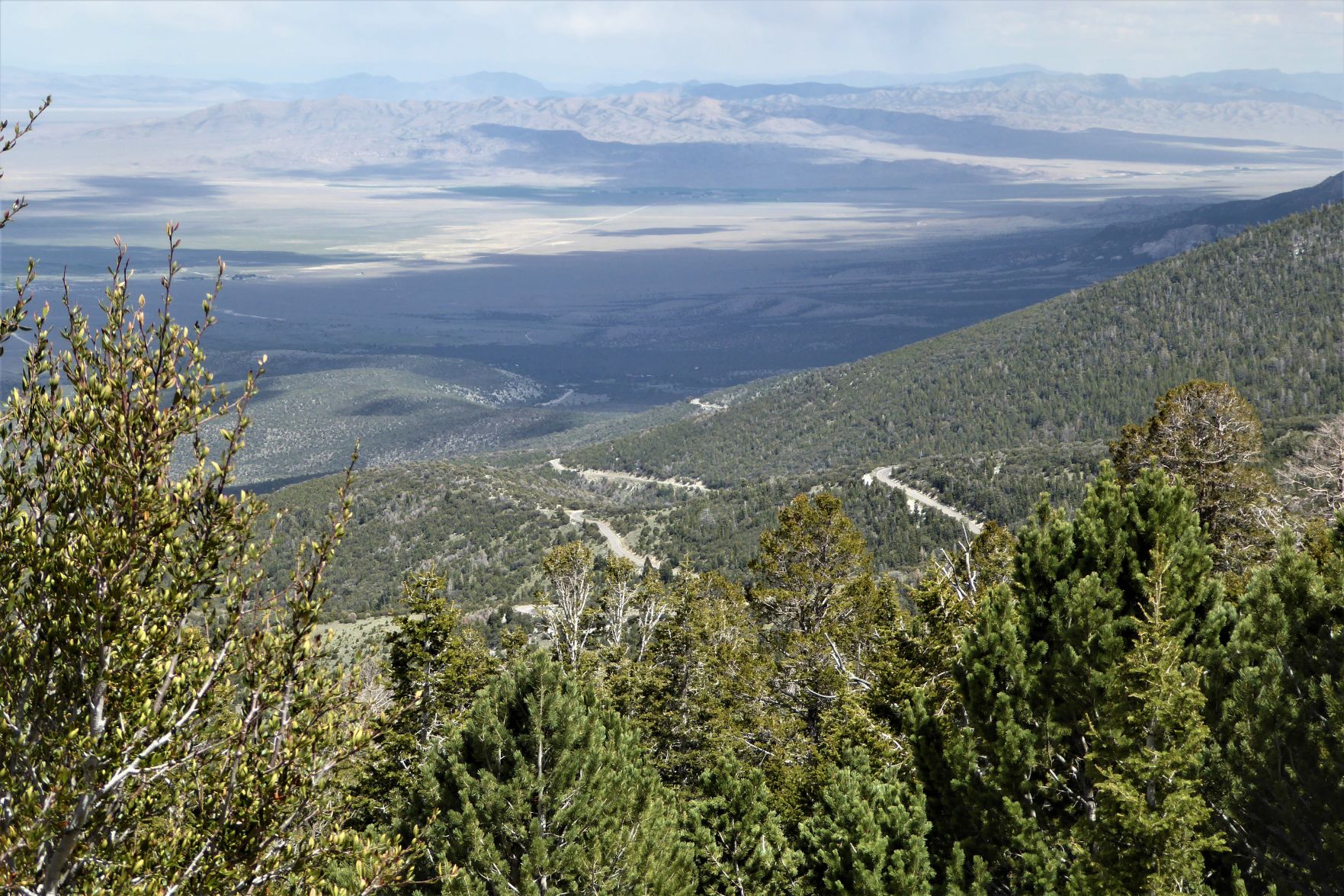 Wheeler Peak Scenic Drive